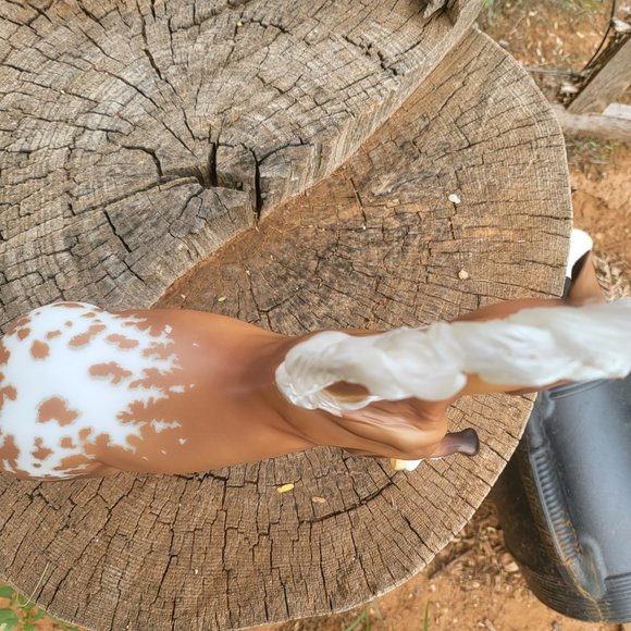 2021 premier club Braveheart - Picture 3 of 7